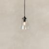 small glass dome pendant light