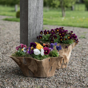 teak planters
