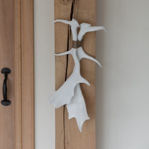 Pair of white deer Antlers bound together with natural string and hung from a beam