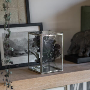 Glass display box