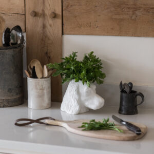 fresh herb storage pot with parsley