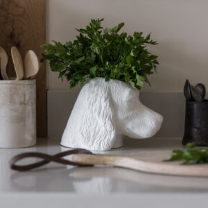 Setter Dog Fresh Herb Storage